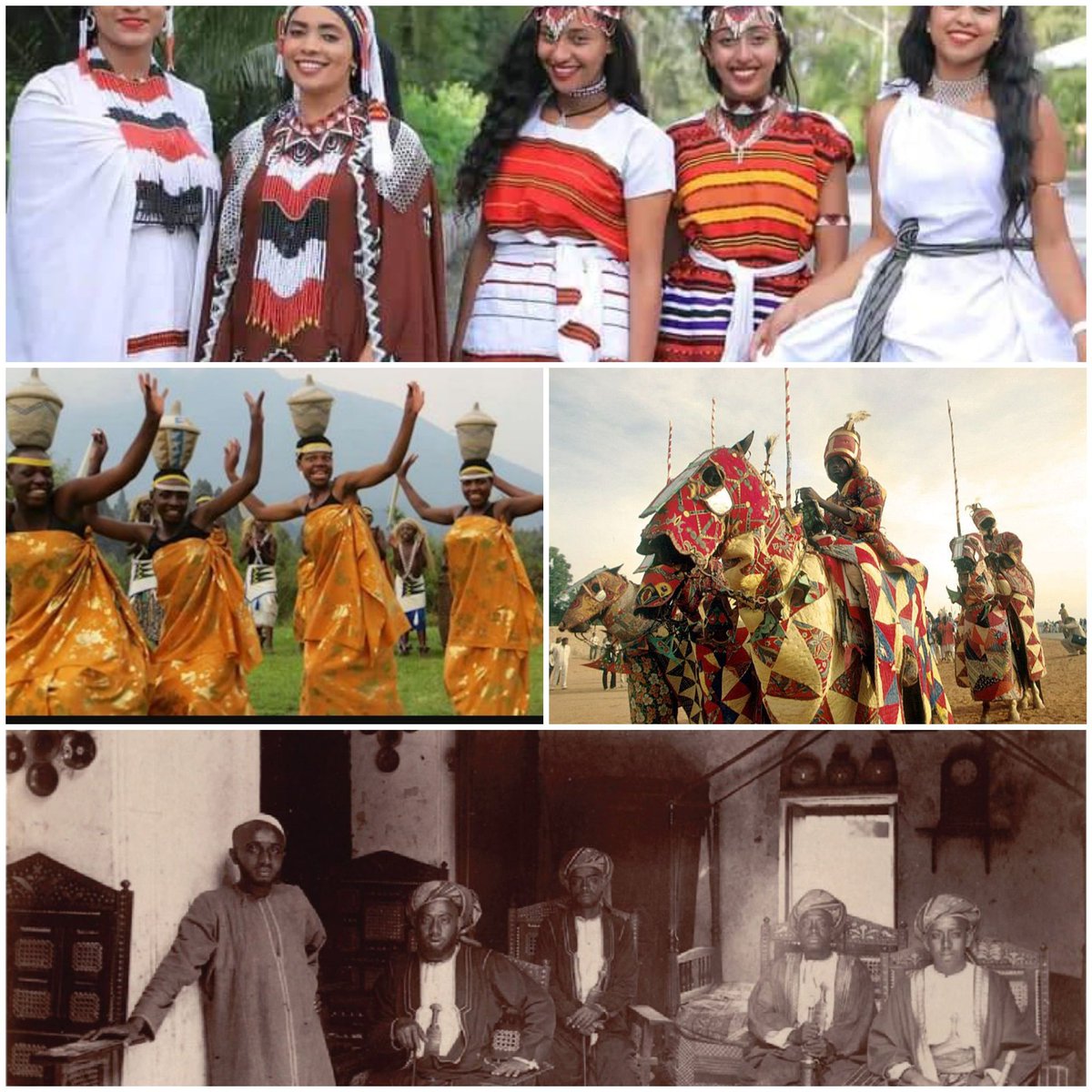 prof. Africa tweet media