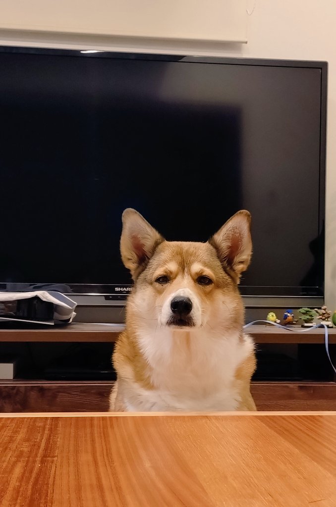 ロアンヌ☪︎*｡꙳ tweet media
