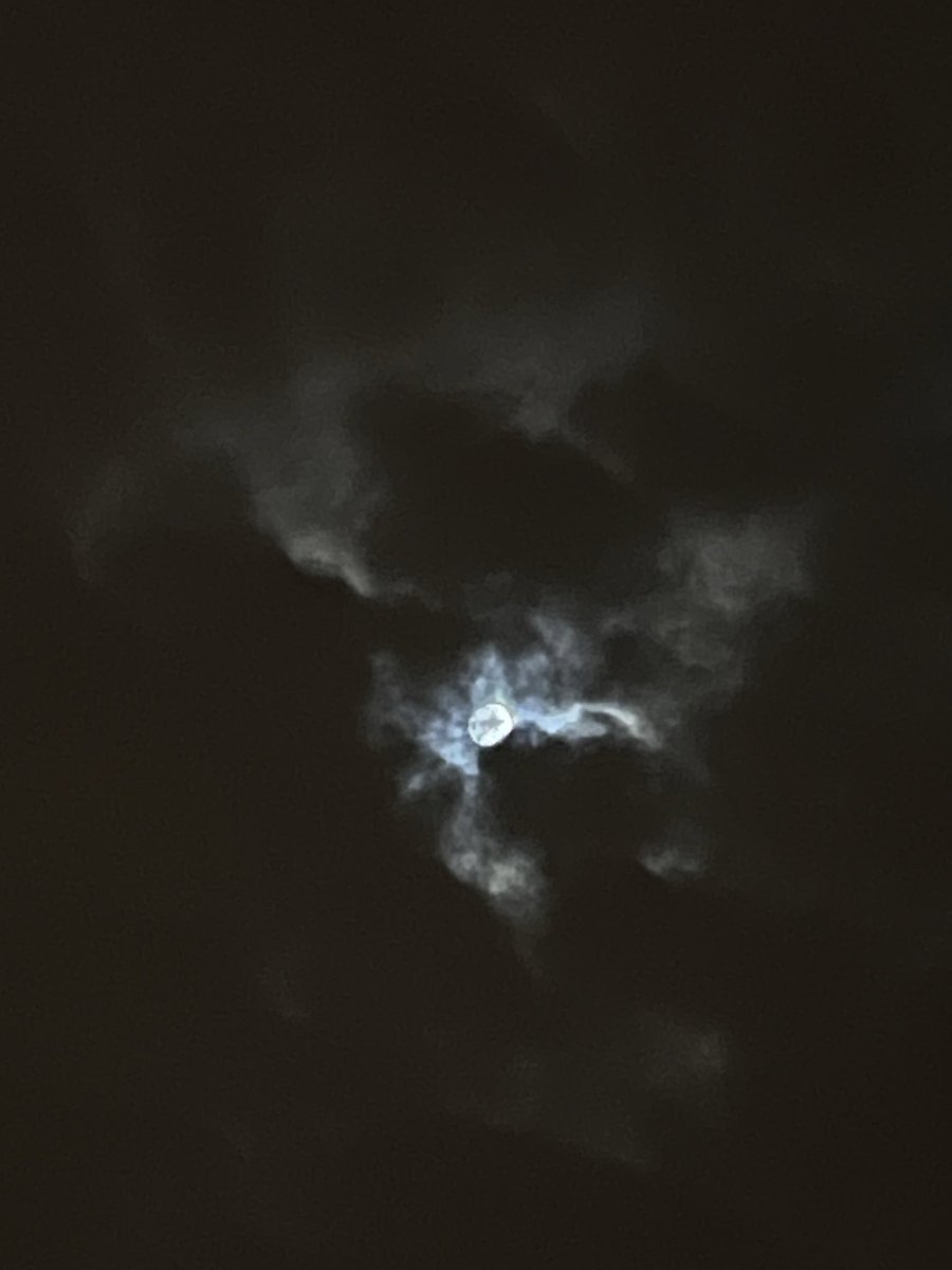 Fatma alRoumi 🍉 tweet media