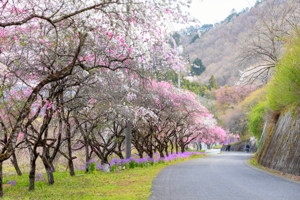 （株）むう企画【公式】 tweet media