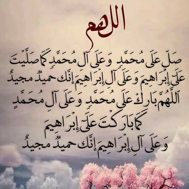 طائر الغدير tweet media