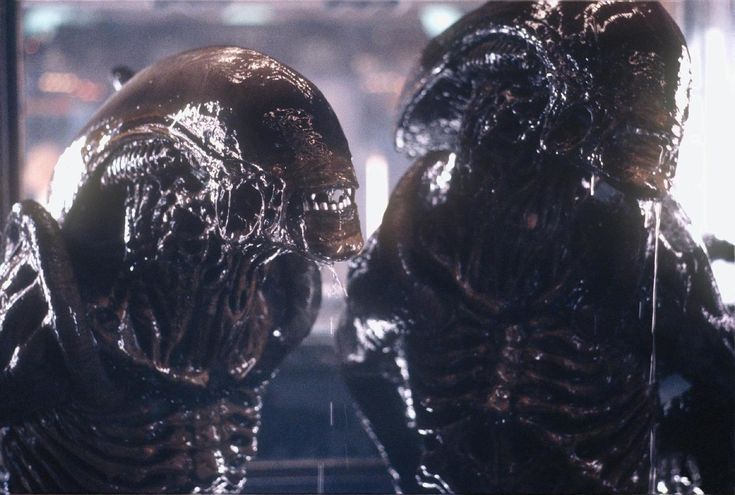 CINEMORPH tweet media