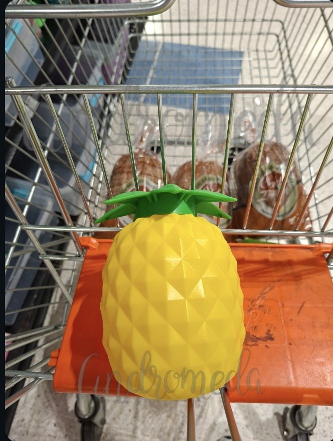 Andromeda Pareja Exhibiciónista tweet media