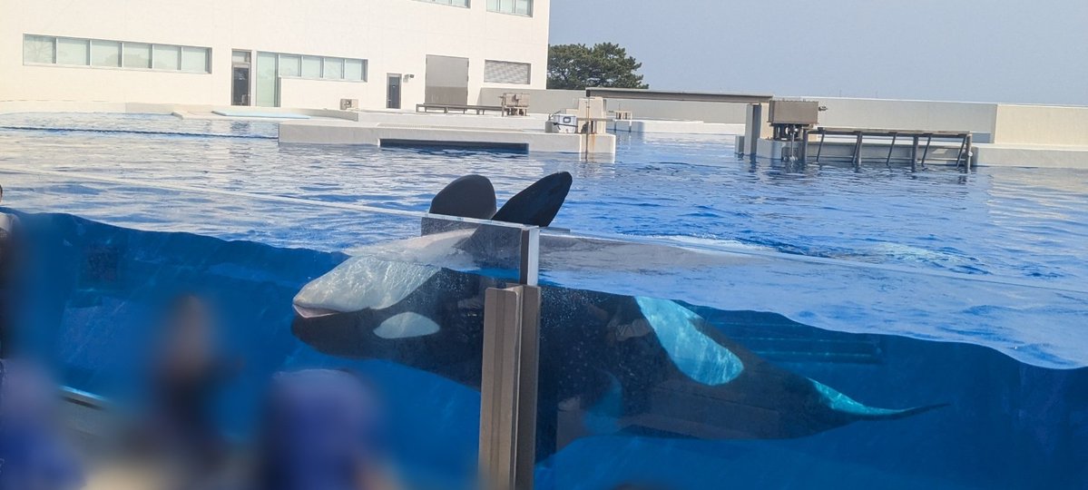 404 not found tweet media