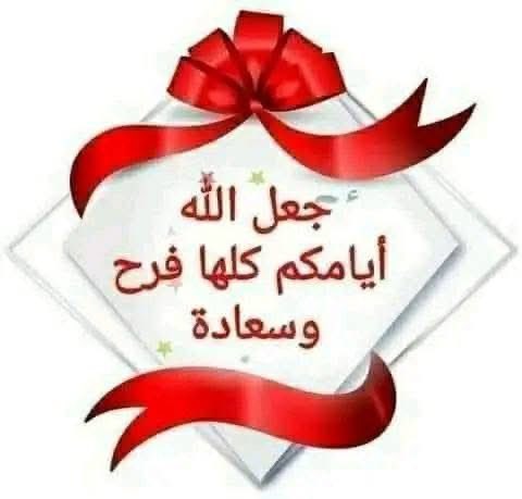 طائر الغدير tweet media