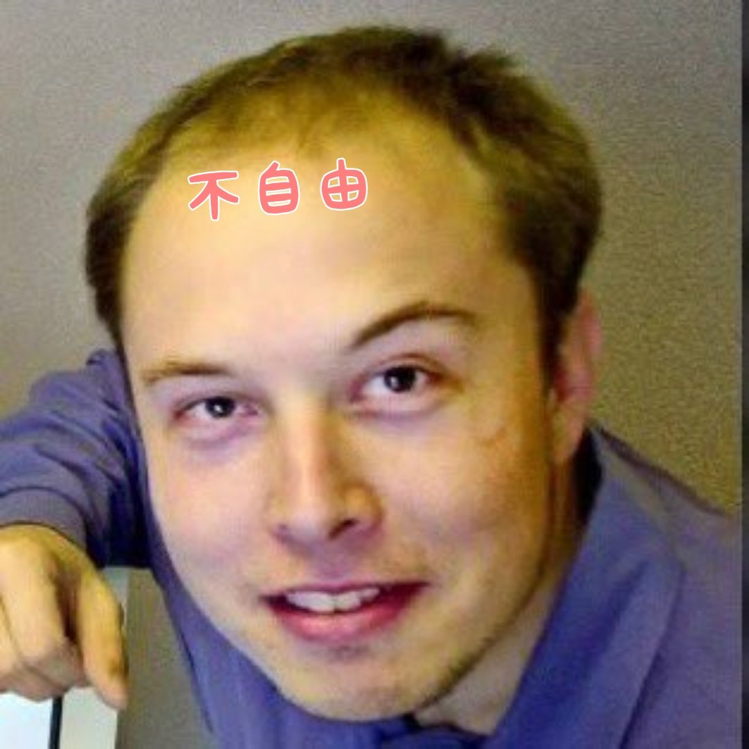 ウクレゲパンク⚡ tweet media