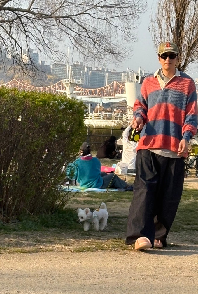 BelchiorJvitor's tweet photo. Lee Kwangsoo and Lee Sunbin were spotted on a date with her dog moose

#leekwangsoo #leesunbin #이광수 #이선빈 https://t.co/UbwYPwA4en