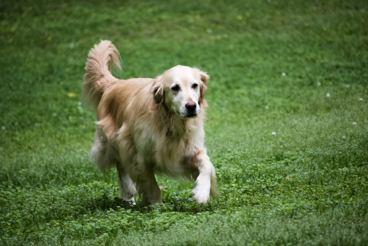 Dont Panic tweet media