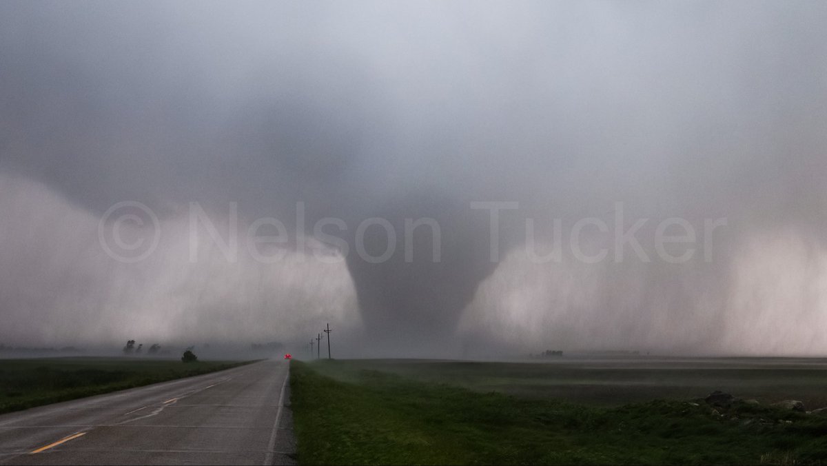 Nelson Tucker tweet media