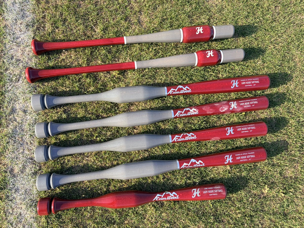 Hamilton Softball tweet media