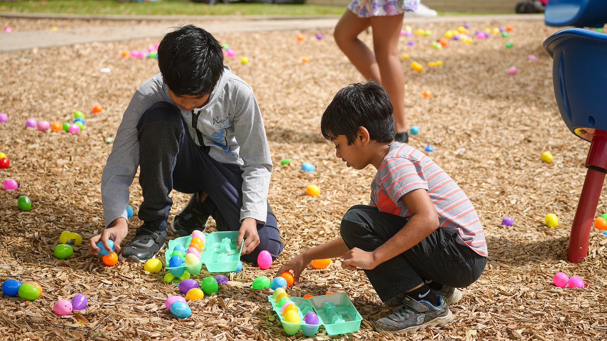 Las Colinas tweet media