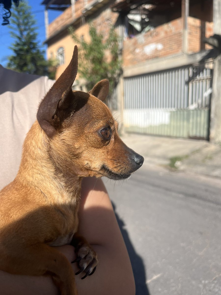 lelet ۶ৎ we on fire tweet media