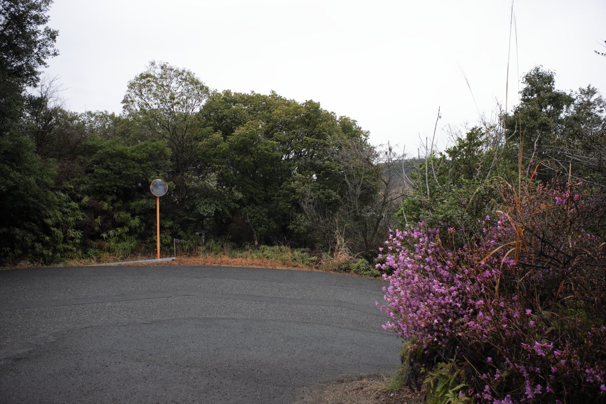 吉川卓志 tweet media