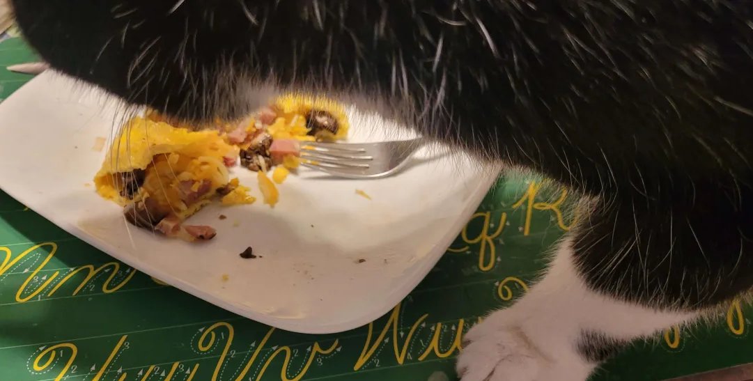 planefag tweet media