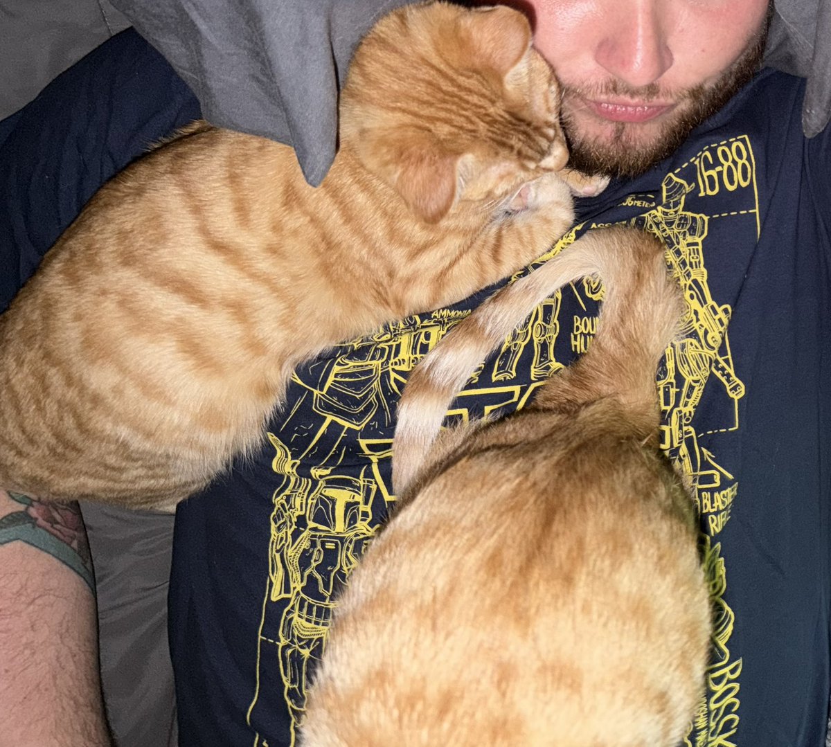 🗽Caleb 🎪 tweet media