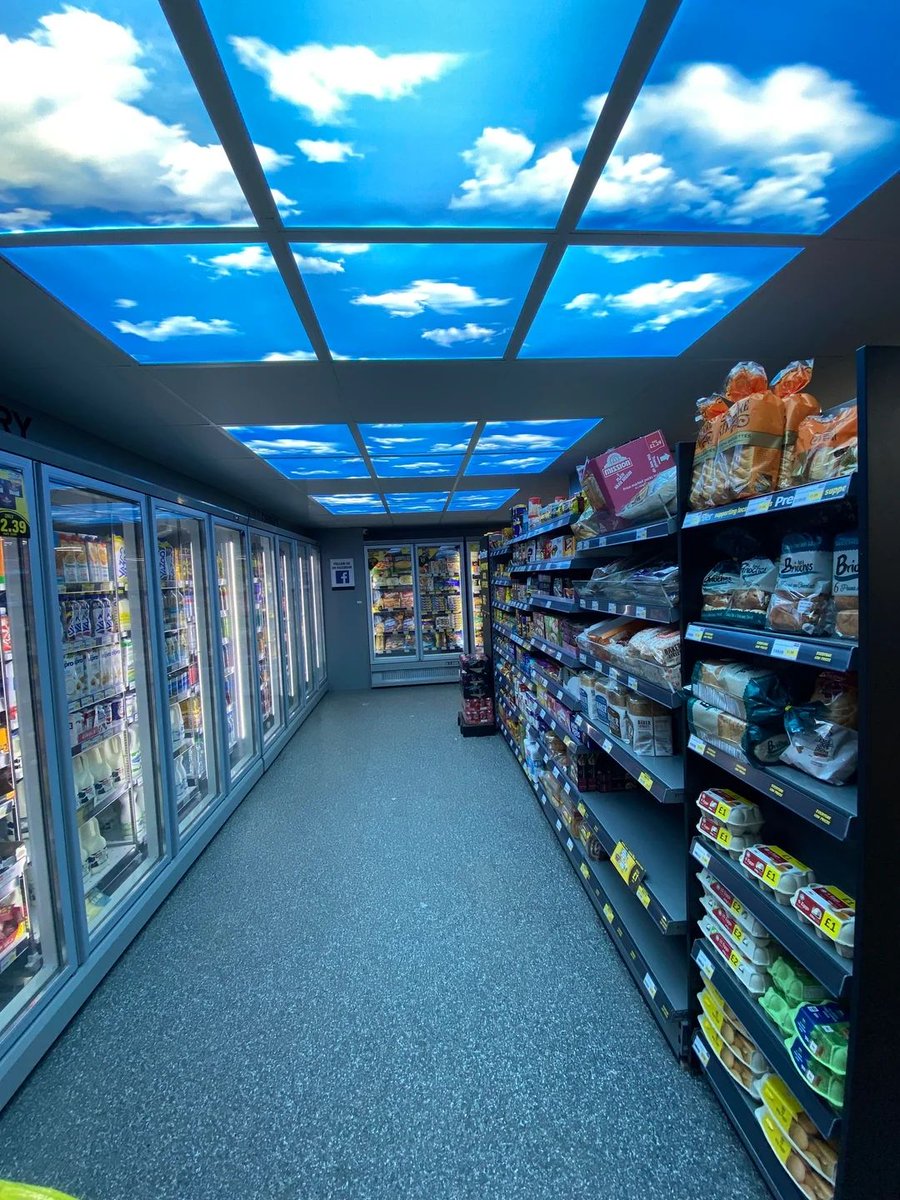 Liminal Dreams tweet media