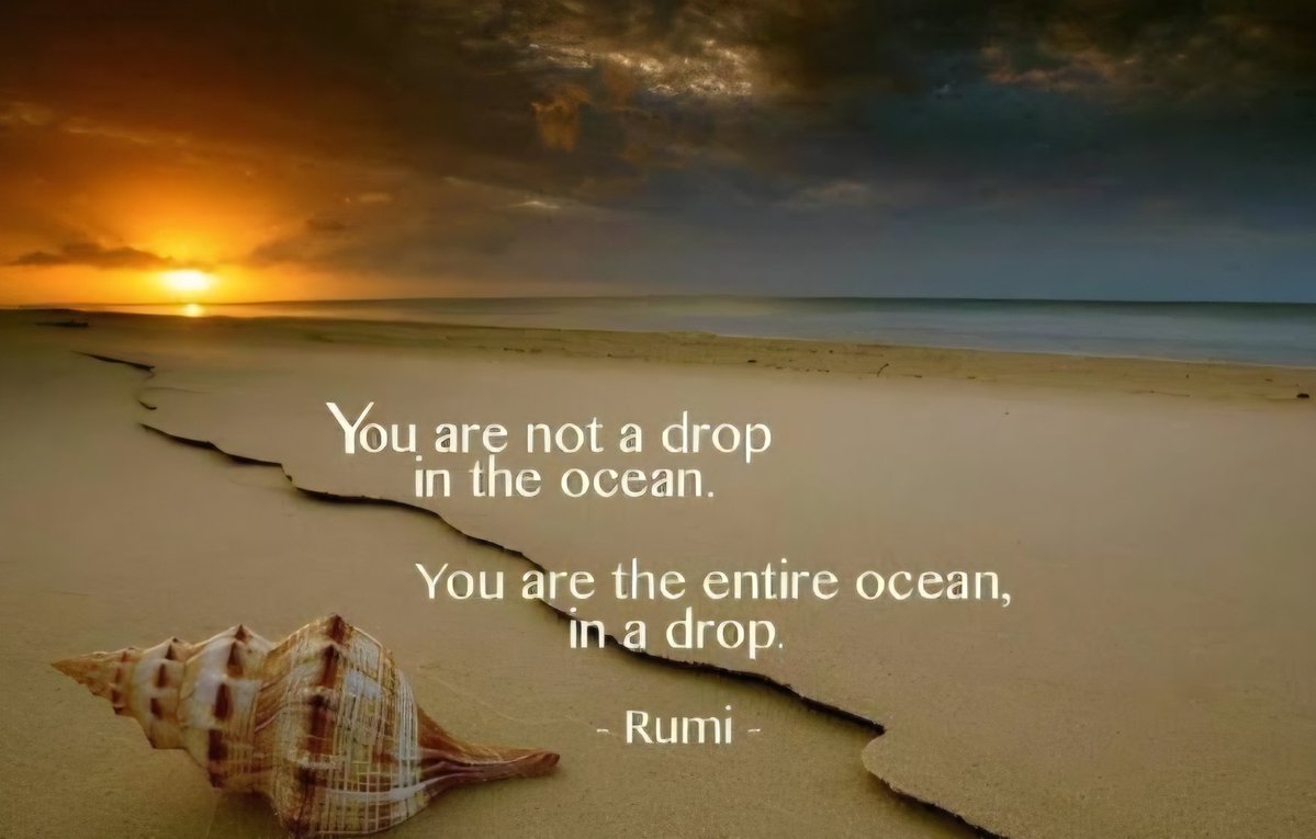 Nicholas Lee tweet media