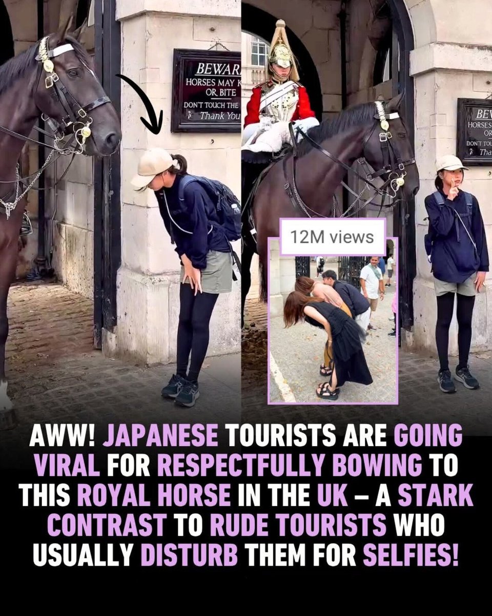 The World R🅰️nking tweet media