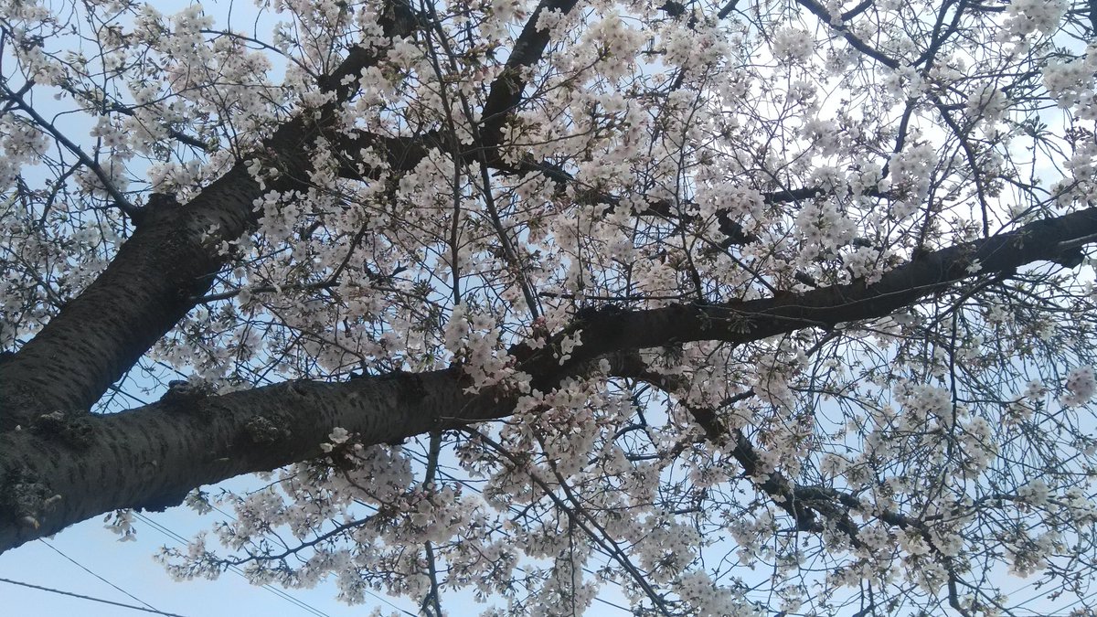 ジッタ tweet media