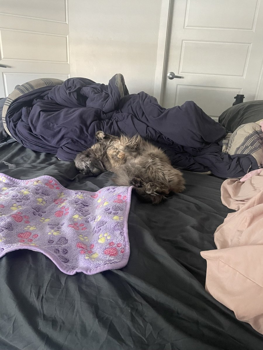 A little love post for my baby Phoenix she doing so well 🧡❤️