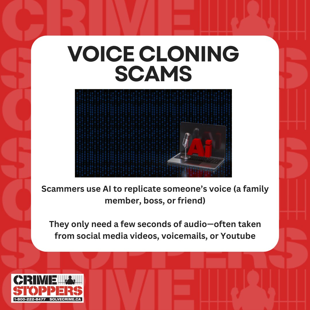 Crime Stoppers tweet media