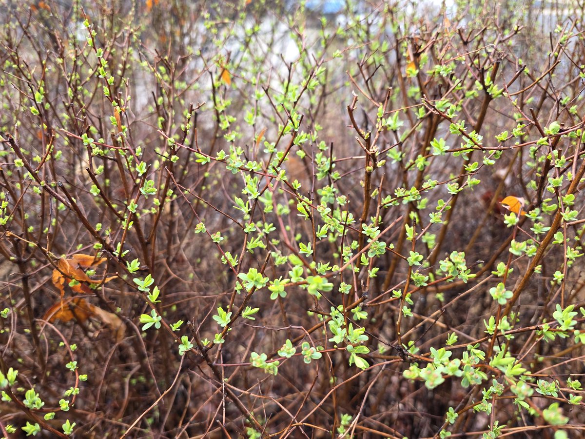 연  하 니 tweet media