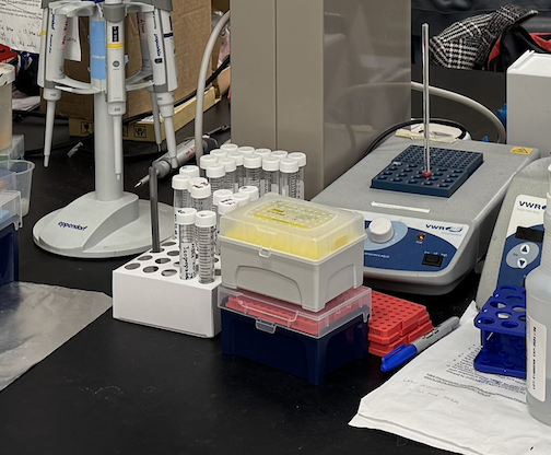 EQLabsAI's tweet photo. We know what it's like to work in a lab: the long hours, the breakthroughs, and yes the frustrations. We started this company because we believe the people doing the science deserve better. 
Follow us if you want to be the first to know. 
#lablife #sciencetech #biotech #startup https://t.co/JDSOxSjaqj