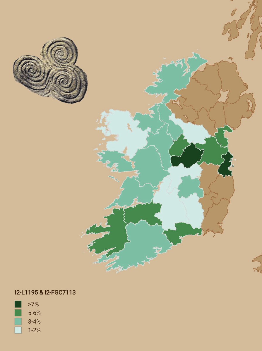 𐌺𐌰𐍀𐍂𐌹🇺🇸 tweet media