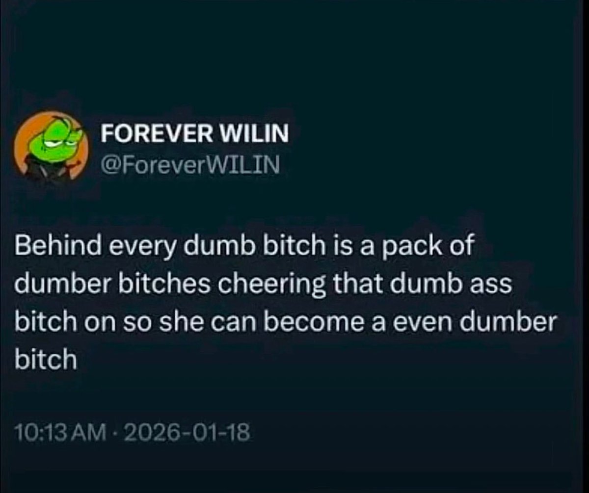 KJ 🦈🎱 tweet media