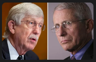 🇺🇸BobE G • Thank U 4 ur attn 2 this MAGA🇺🇸 tweet media