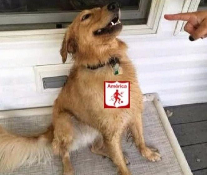 Ψ 𝔼𝕝ℂ𝕠𝕞𝕡𝕒𝔻𝕣𝕠𝕧𝕚𝕔𝕙 ⭐1️⃣5️⃣ ™Ψ 👹 🇦🇹 tweet media