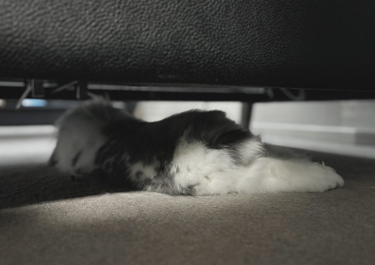 むぅもこ tweet media