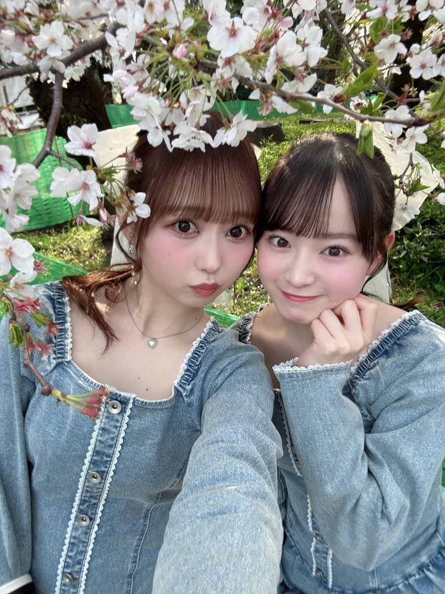 近藤沙樹（AKB48 20期研究生） tweet media