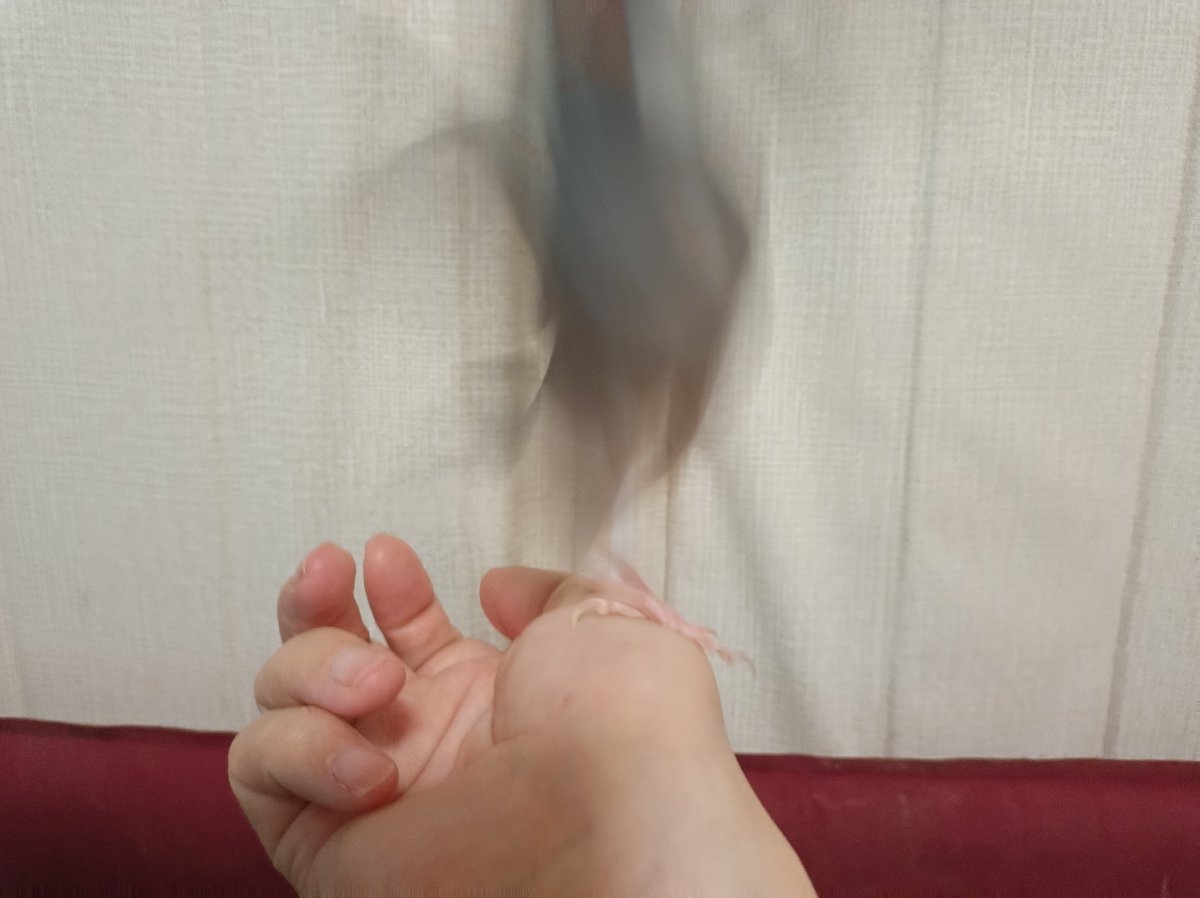 さんじや tweet media