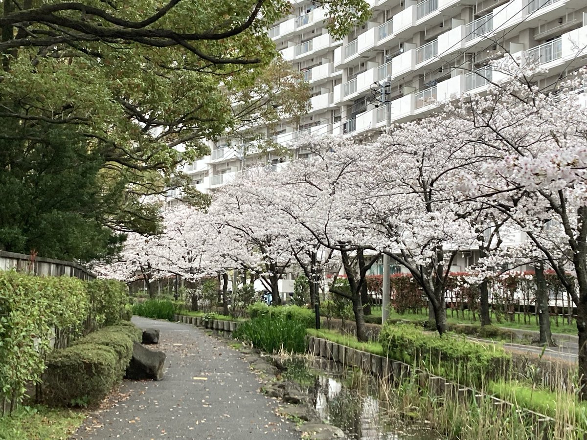 難波知美@障害福祉施設サポートl自動車業務l遺言 tweet media