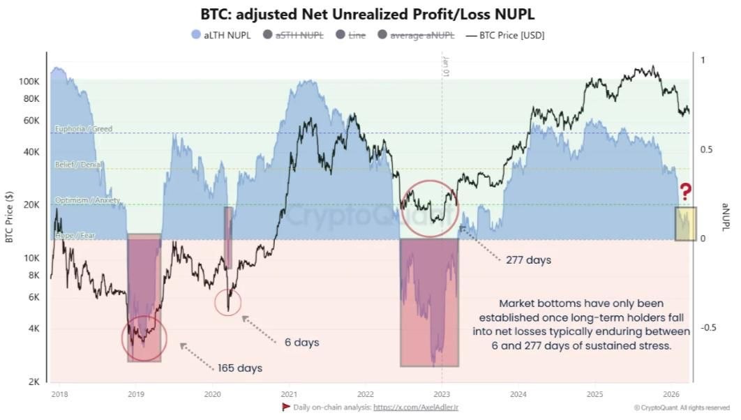 Alexandra Sofia tweet media
