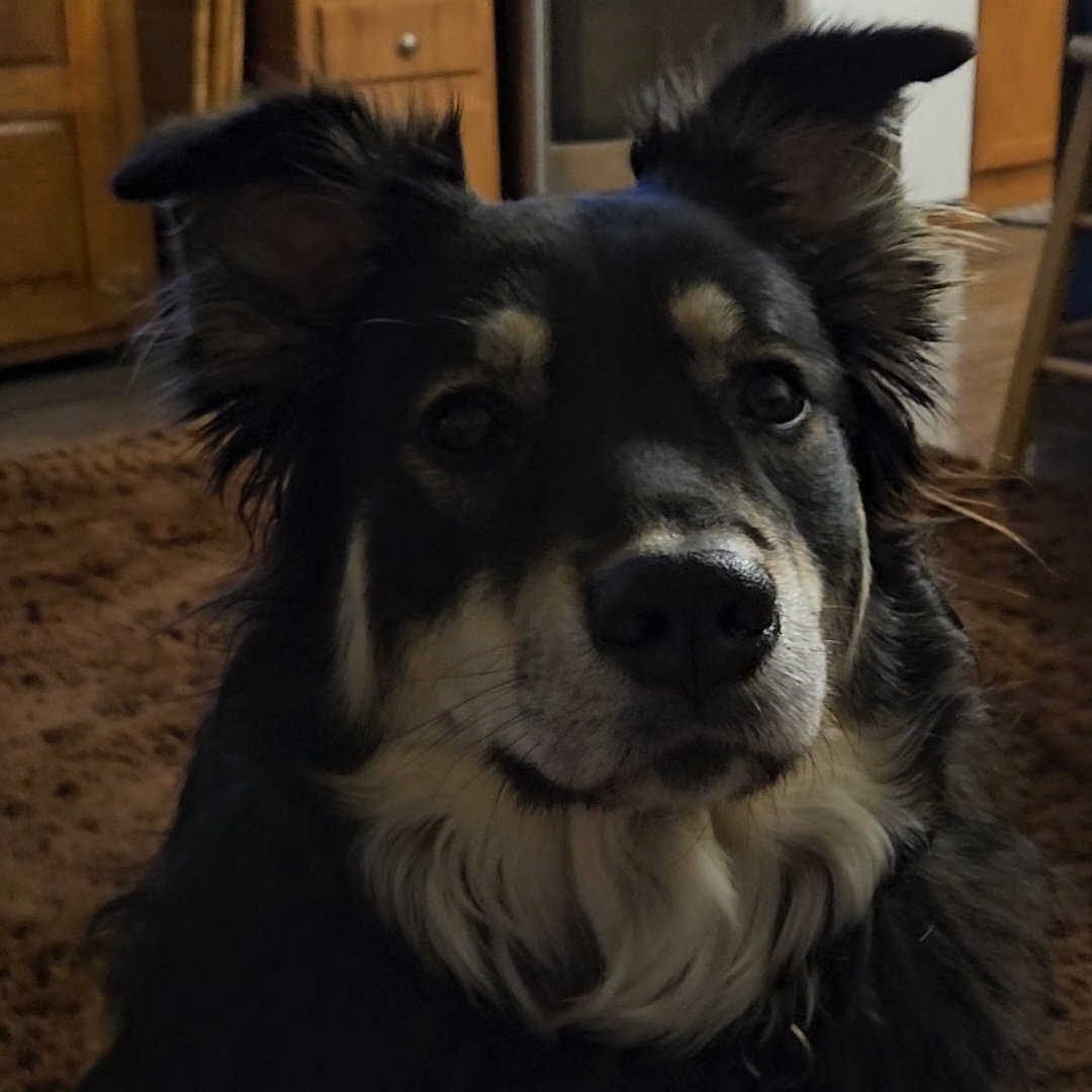 PrayForOurCountry tweet media