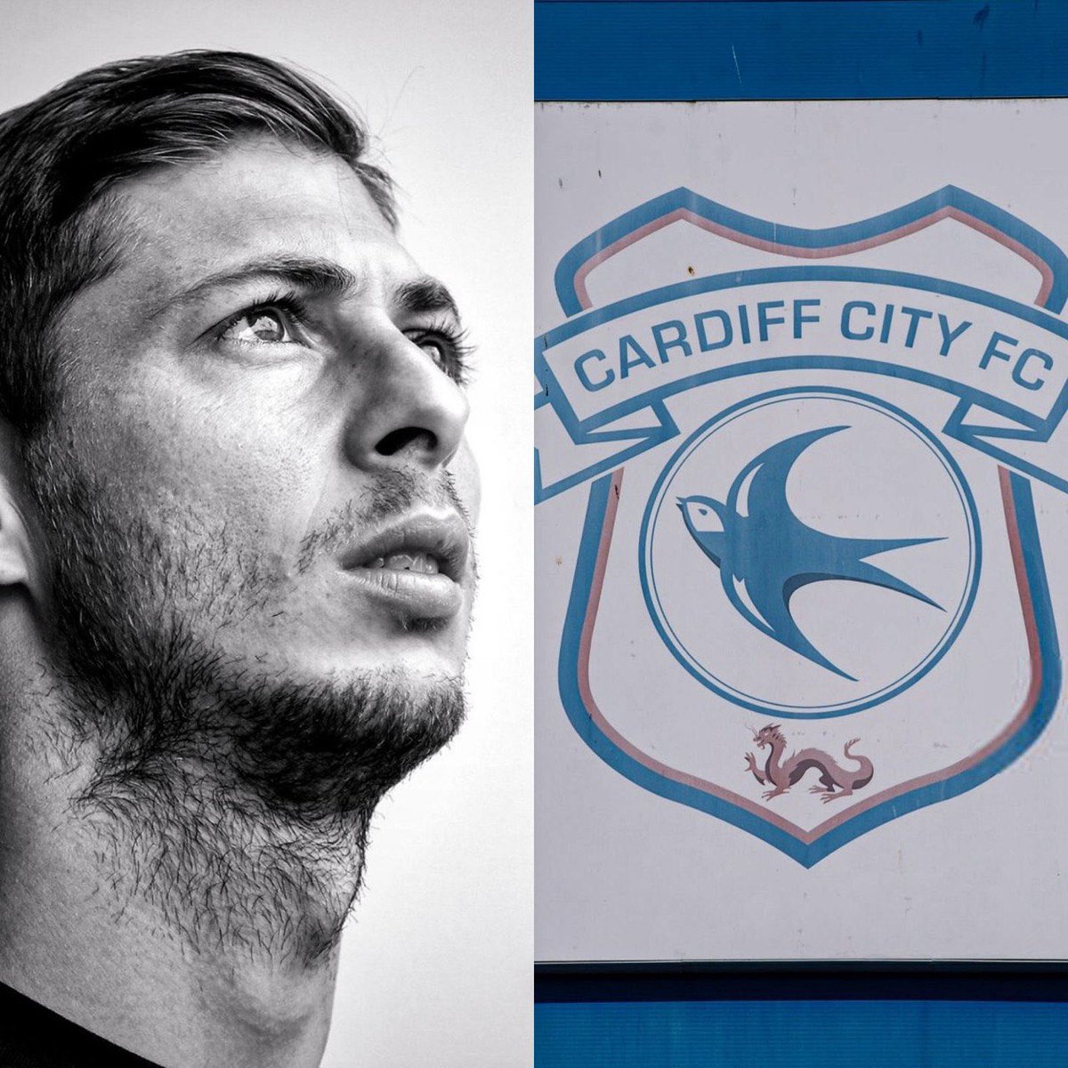 عمرو tweet media