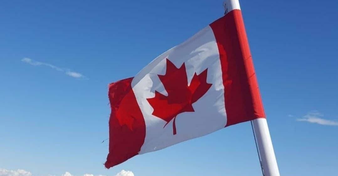 Alexandra Sofia tweet media