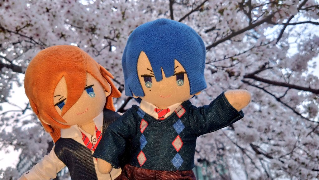 まりすけ🪑 tweet media