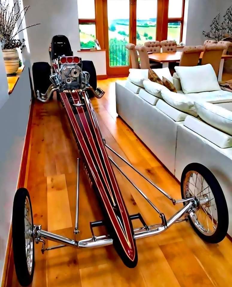 When she says you can put one thing of yours in the living room!