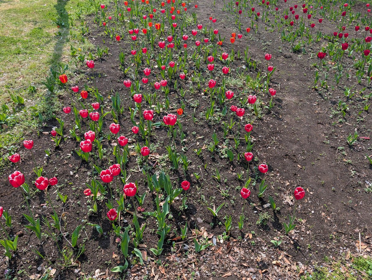 Riza(リザ)🏴☠️ 🐯🥤 tweet media