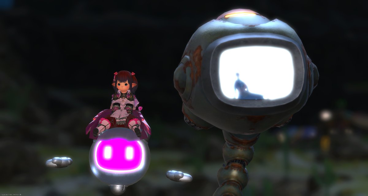 シィ【☽】 tweet media