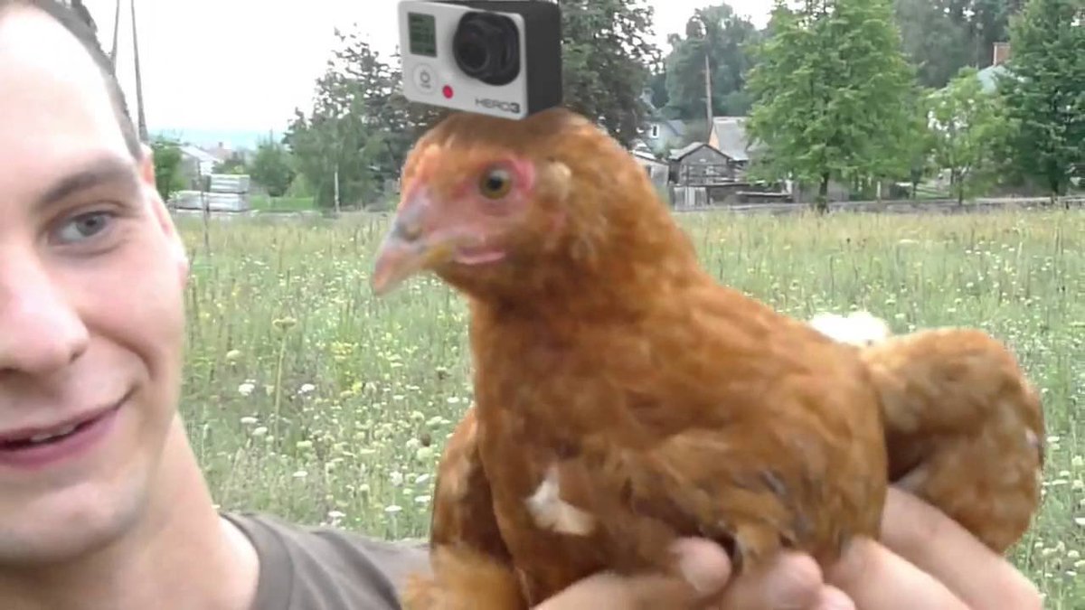 Carlos (@sharintaint) on Twitter photo 