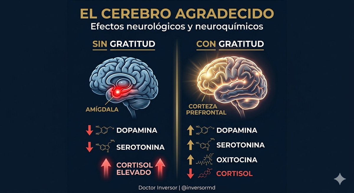 Doctor Inversor tweet media