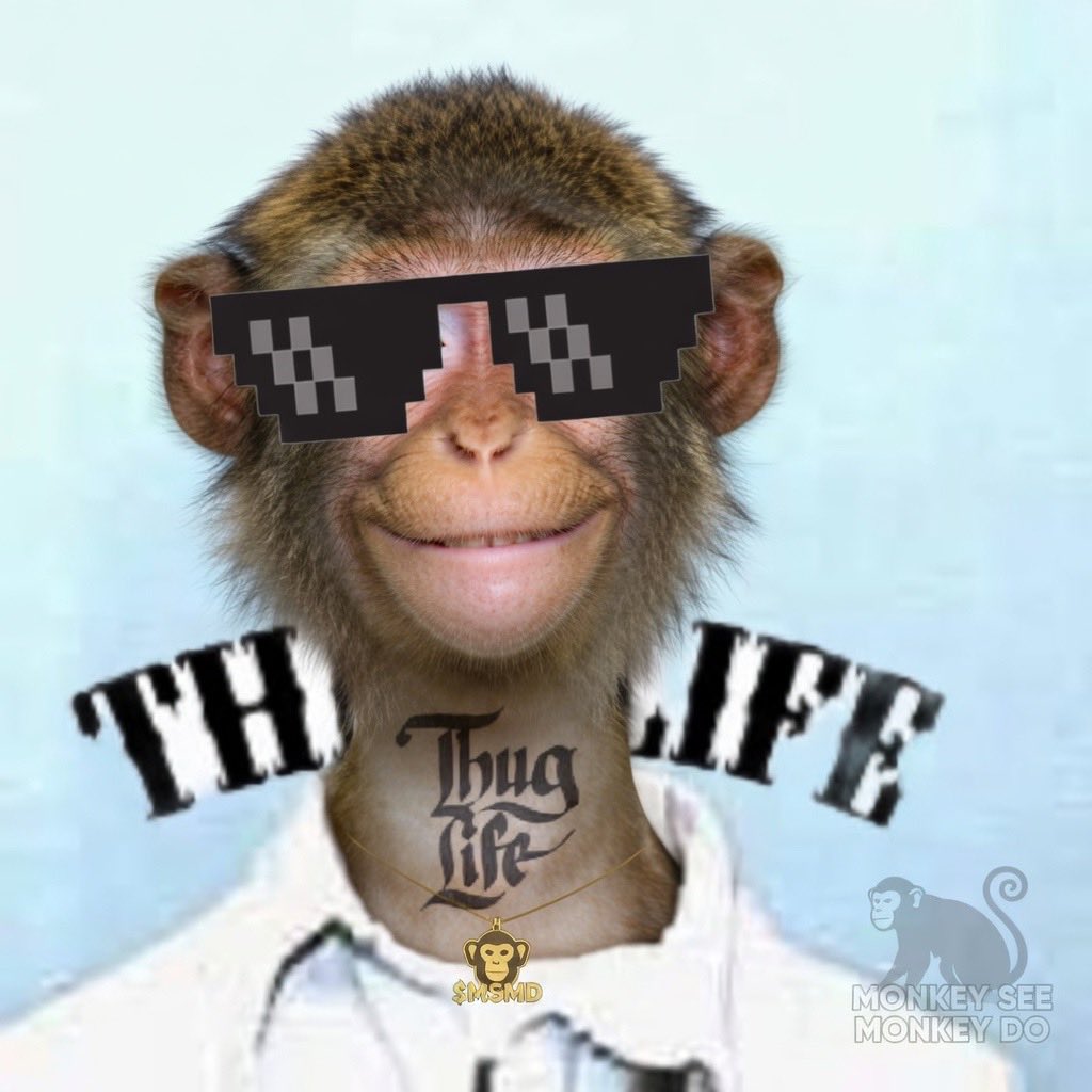 MonkeySeeMonkeyDo tweet media