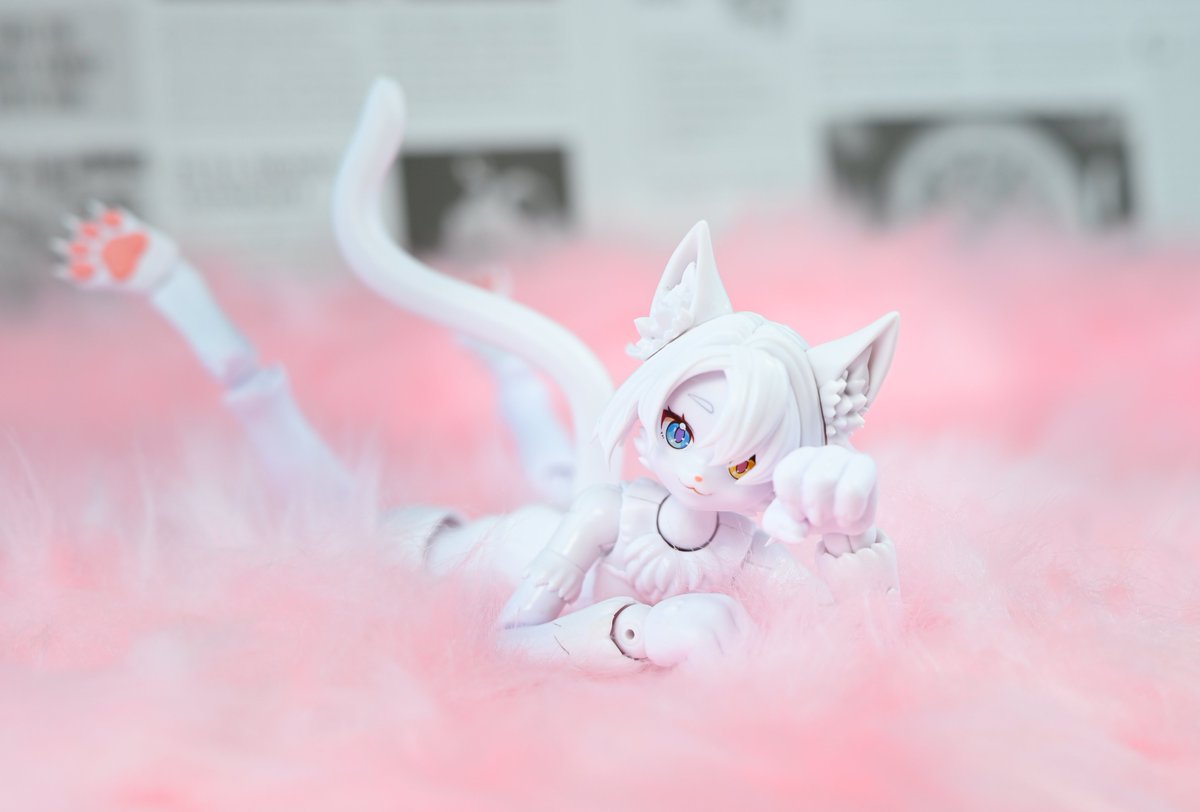 ふせねこ tweet media