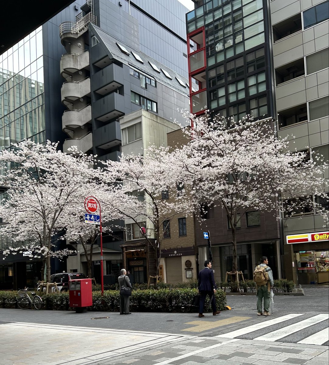 LLSなチャーさん tweet media