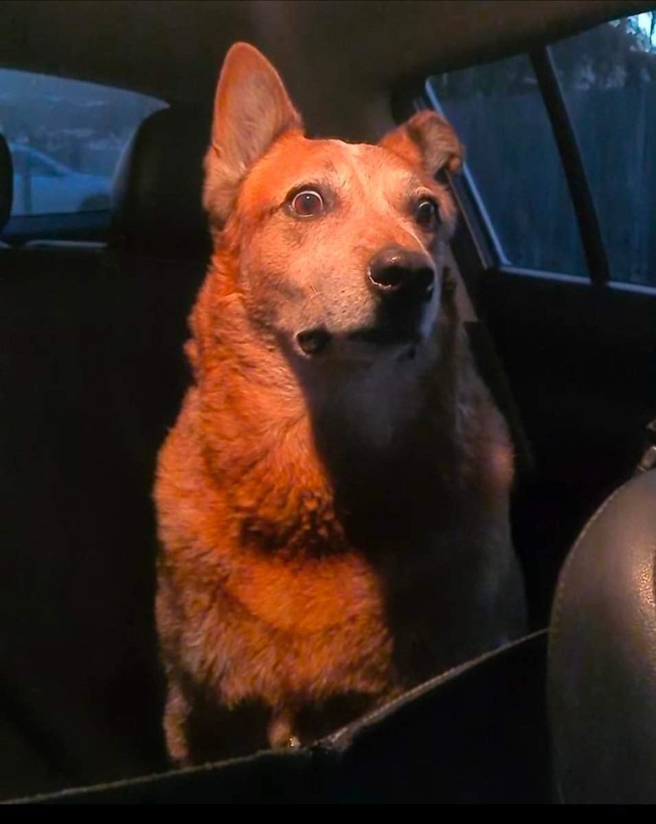 I❤️BEER tweet media