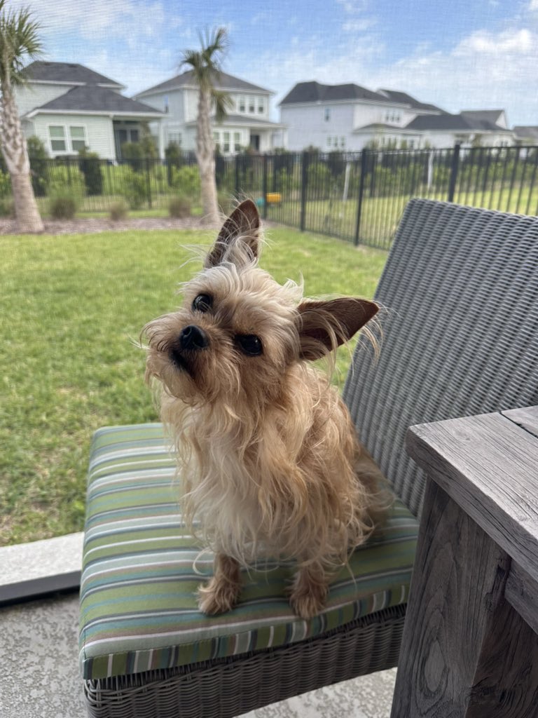 Stevie Stacks tweet media